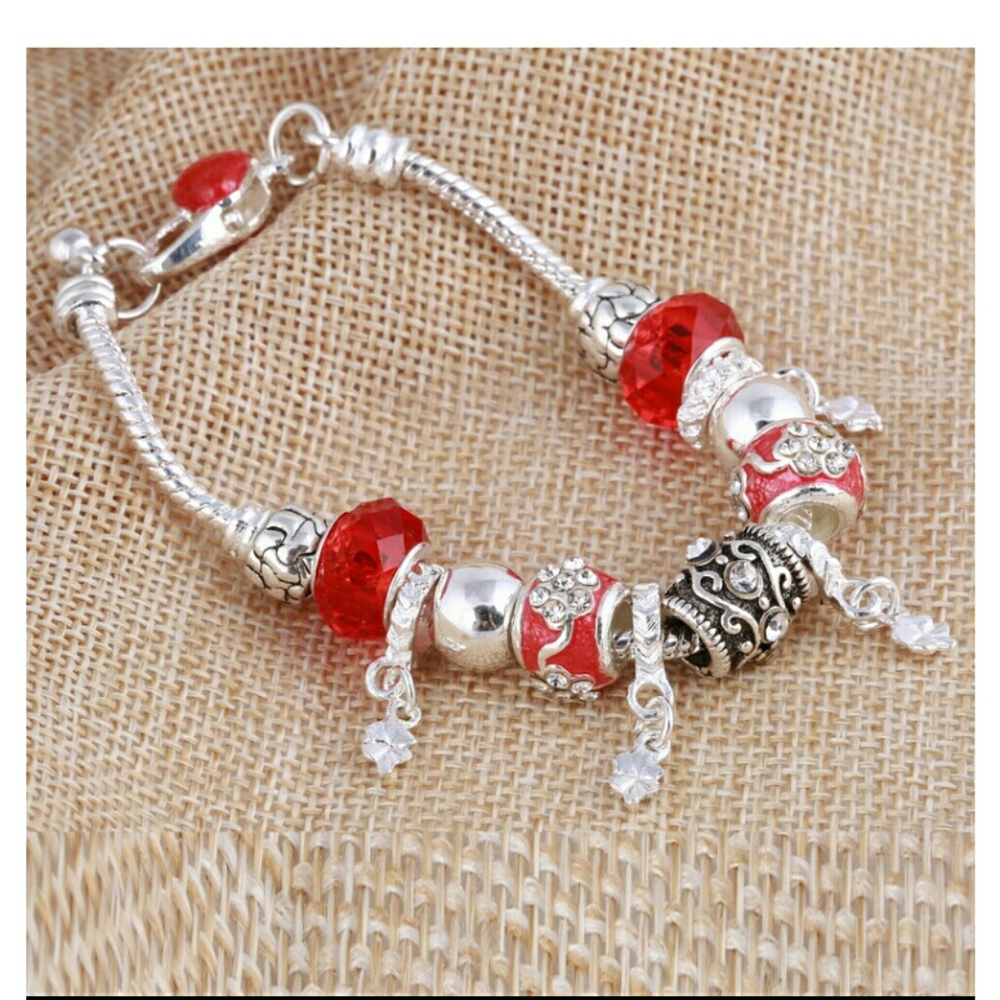 😲🔥💥😎 Red charm bracelet